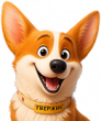 Корги